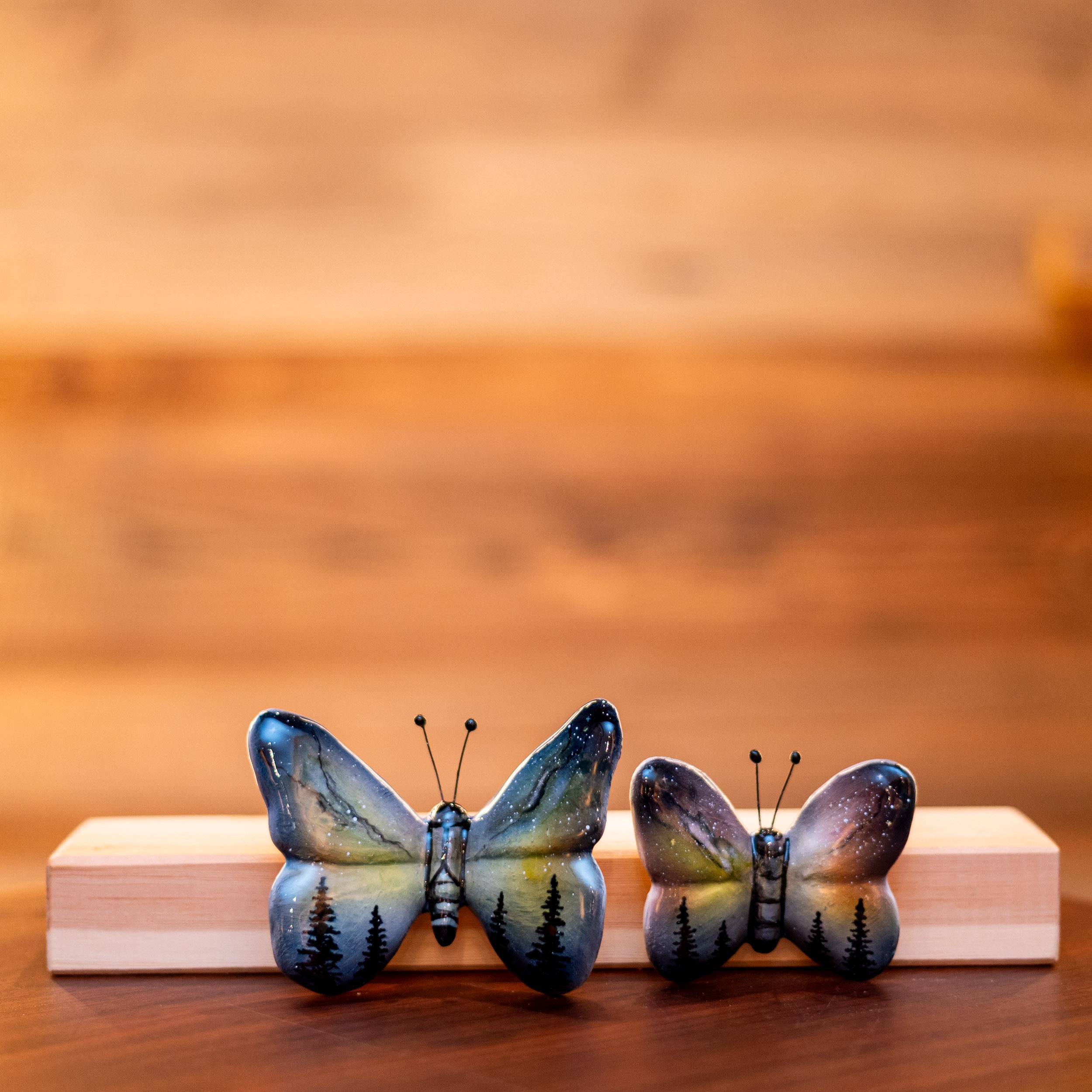 FARFALLA FORESTA NOTTURNA