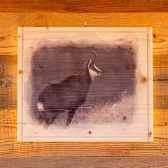 QUADRI IN LEGNO GRANDI CON STAMPA Camoscio