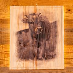 QUADRI IN LEGNO GRANDI CON STAMPA Mucca 1