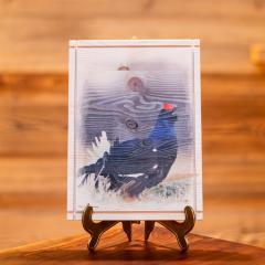 QUADRI IN LEGNO CON STAMPA Gallo forcello