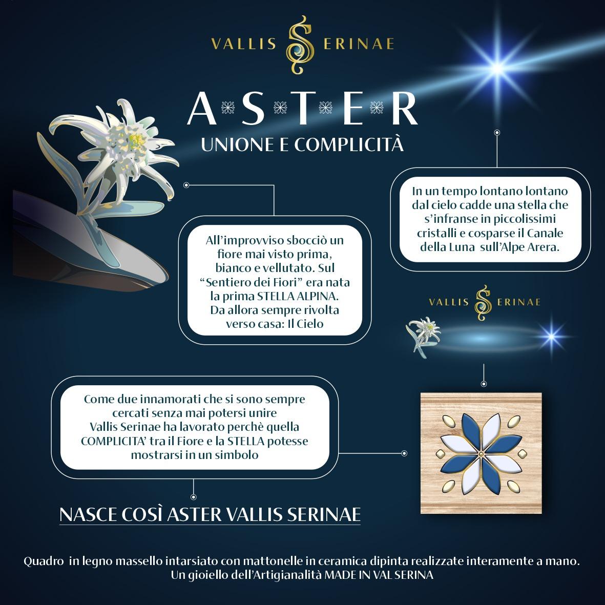 ASTER CERAMICA