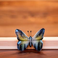 FARFALLA FORESTA NOTTURNA