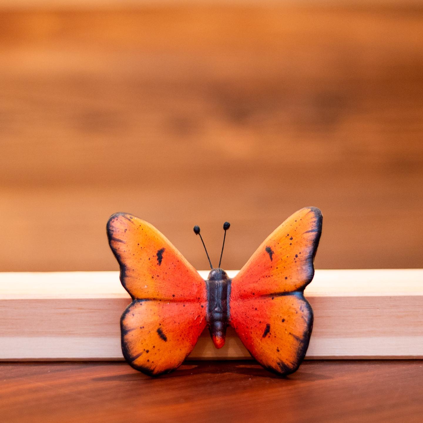 FARFALLA IN TERRACOTTA Arancione Grande